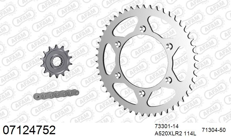 520XRR3 114 ARS (CLIP) GOLD & SPROCKETS