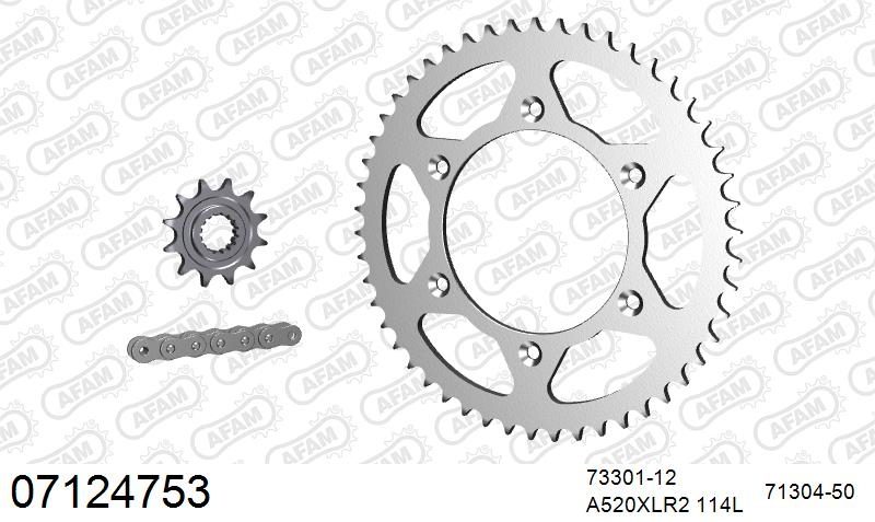 520XRR3 114 ARS (CLIP) GOLD & SPROCKETS