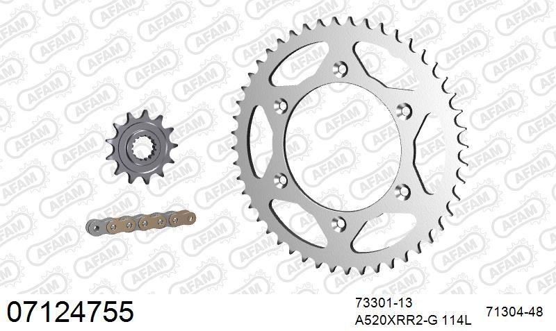 520XRR3 114 ARS (CLIP) GOLD & SPROCKETS