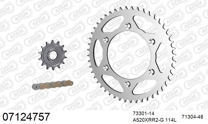 520XRR3 114 ARS (CLIP) GOLD & SPROCKETS