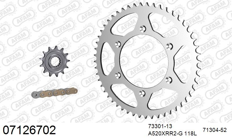 520XRR3 118 ARS (CLIP) GOLD & SPROCKETS