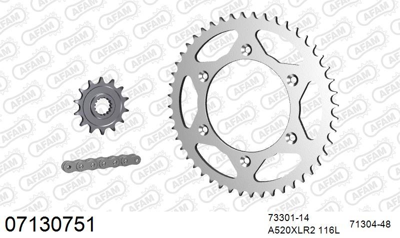 520XRR3 116 ARS (CLIP) GOLD & SPROCKETS