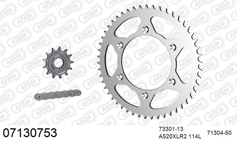 520XRR3 114 ARS (CLIP) GOLD & SPROCKETS
