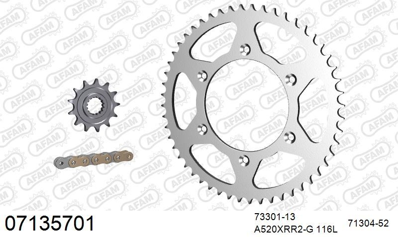 520XRR3 116 ARS (CLIP) GOLD & SPROCKETS