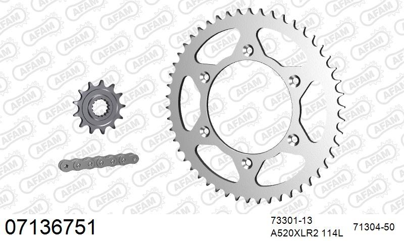 520XRR3 114 ARS (CLIP) GOLD & SPROCKETS