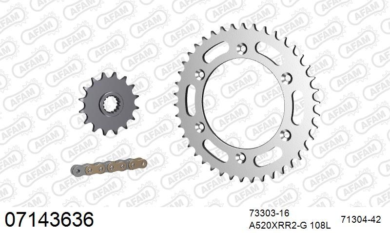 520XRR3 108 ARS (CLIP) GOLD & SPROCKETS