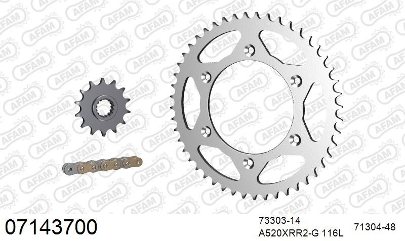 520XRR3 116 ARS (CLIP) GOLD & SPROCKETS
