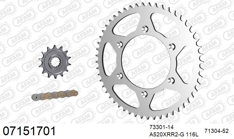 520XRR3 116 ARS (CLIP) GOLD & SPROCKETS