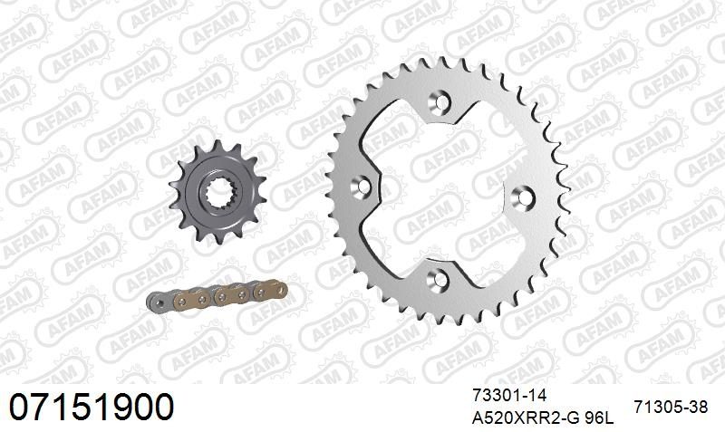520XRR3 96 ARS (CLIP) GOLD & SPROCKETS