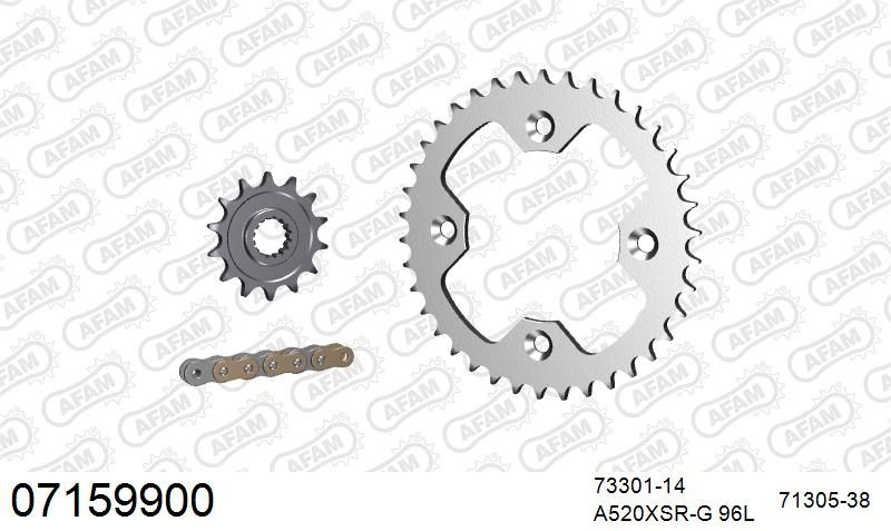 520XSR 96 MRS (RIVET) GOLD & SPROCKETS