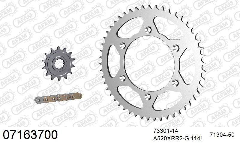 520XRR3 114 ARS (CLIP) GOLD & SPROCKETS