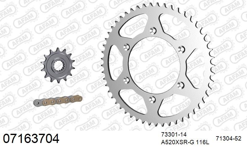 520XRR3 116 ARS (CLIP) GOLD & SPROCKETS