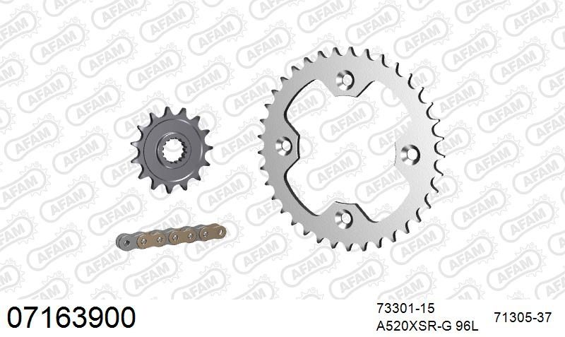 520XSR 96 MRS (RIVET) GOLD & SPROCKETS