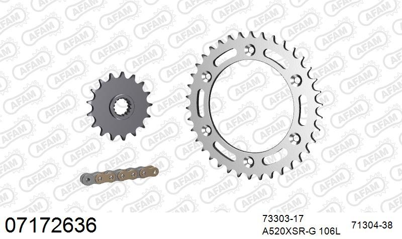 520XSR 106 MRS (RIVET) GOLD & SPROCKETS