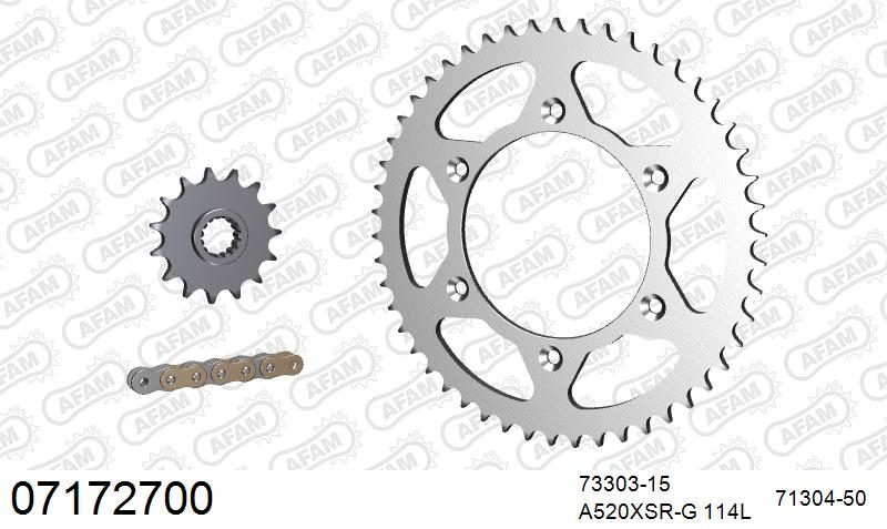 520XSR 114 MRS (RIVET) GOLD & SPROCKETS