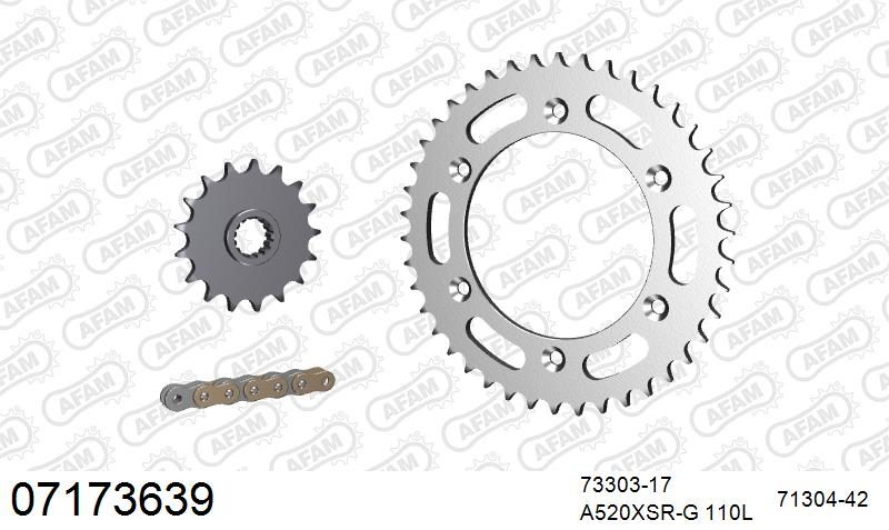 520XSR 110 MRS (RIVET) GOLD & SPROCKETS