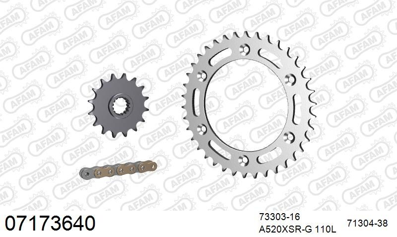 520XSR 110 MRS (RIVET) GOLD & SPROCKETS
