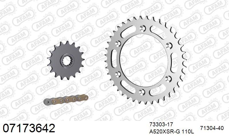 520XSR 110 MRS (RIVET) GOLD & SPROCKETS