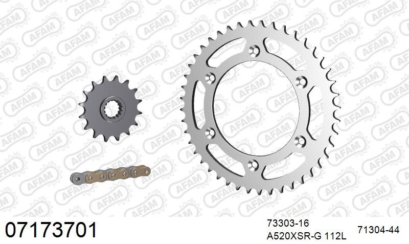 520XSR 112 MRS (RIVET) GOLD & SPROCKETS