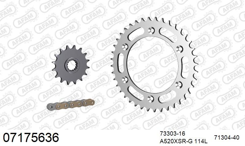 520XSR 114 MRS (RIVET) GOLD & SPROCKETS
