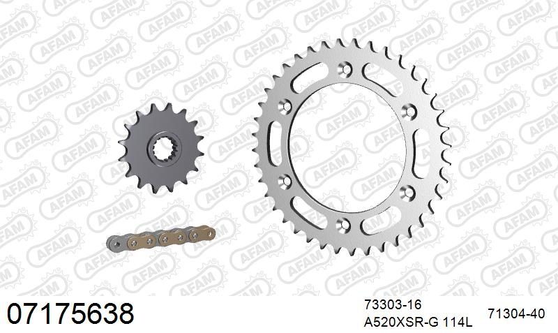 520XSR 114 MRS (RIVET) GOLD & SPROCKETS