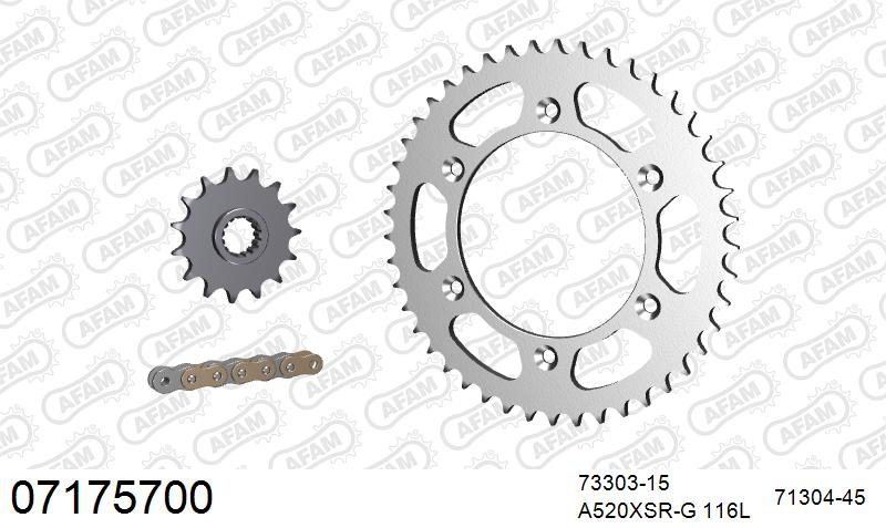 520XSR 118 MRS (RIVET) GOLD & SPROCKETS