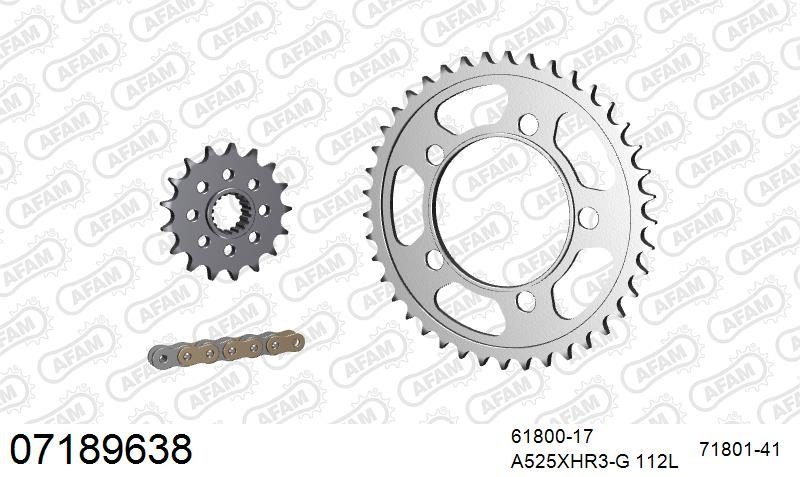 525XHR3 112 MRS (RIVET) GOLD & SPROCKETS