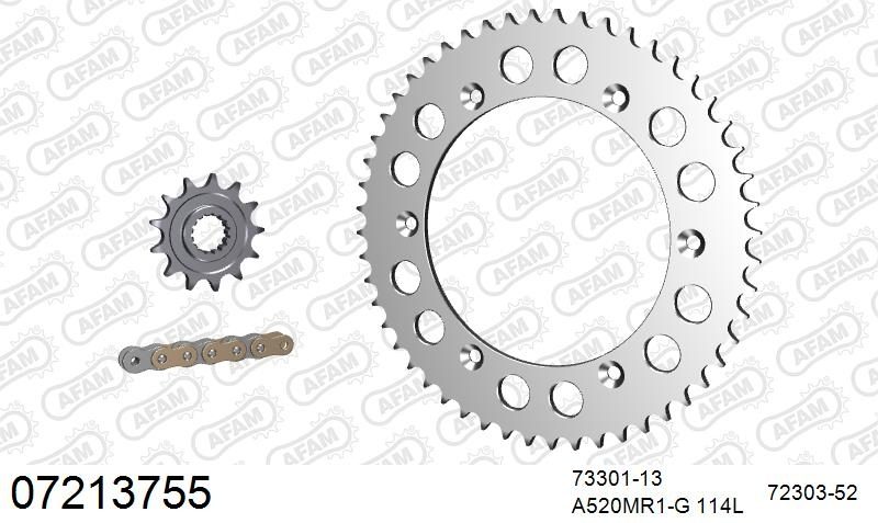 520MR2 114 ARS (CLIP) GOLD & SPROCKETS