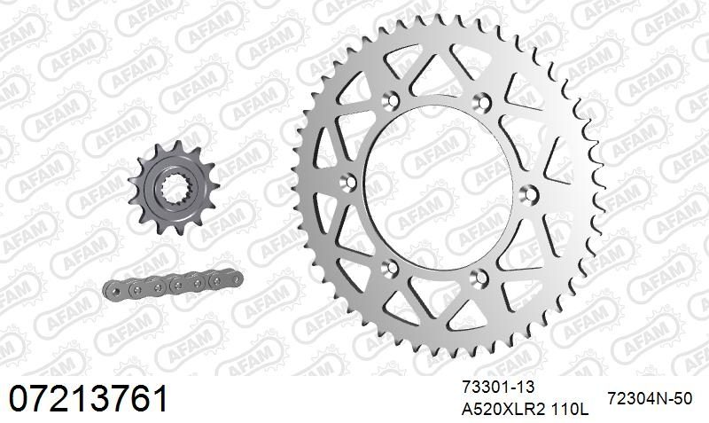 520XRR3 110 ARS (CLIP) GOLD & SPROCKETS