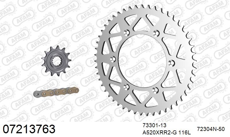 520XRR3 116 ARS (CLIP) GOLD & SPROCKETS