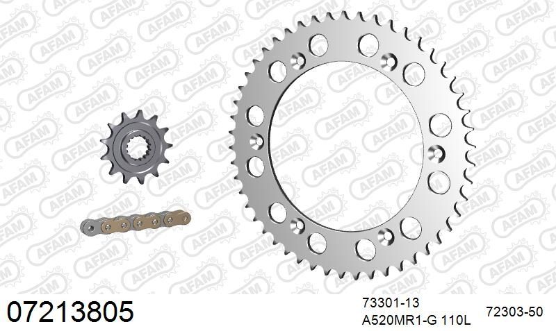 520MR2 110 ARS (CLIP) GOLD & SPROCKETS