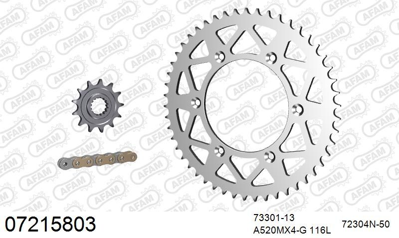 520MR2 118 ARS (CLIP) GOLD & SPROCKETS