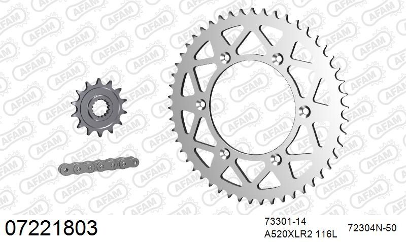 520XRR3 116 ARS (CLIP) GOLD & SPROCKETS