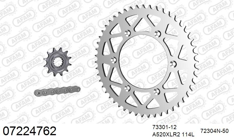 520XRR3 114 ARS (CLIP) GOLD & SPROCKETS