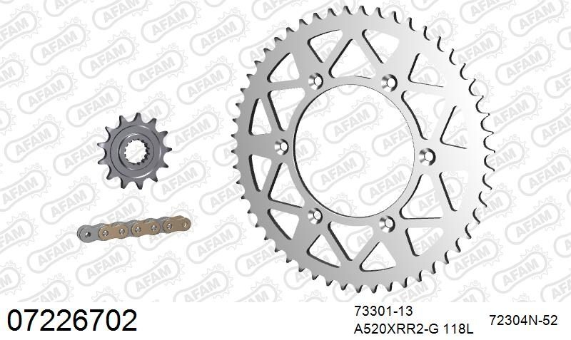 520XRR3 118 ARS (CLIP) GOLD & SPROCKETS