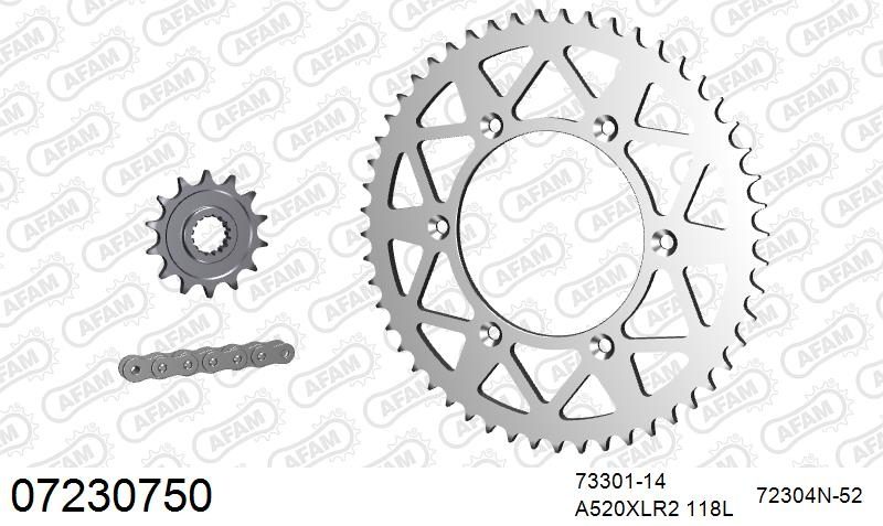 520XRR3 118 ARS (CLIP) GOLD & SPROCKETS