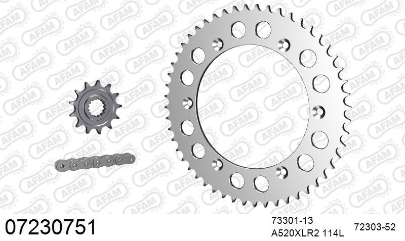 520XRR3 114 ARS (CLIP) GOLD & SPROCKETS