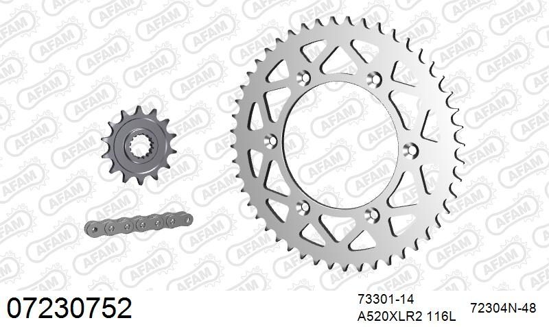 520XRR3 116 ARS (CLIP) GOLD & SPROCKETS