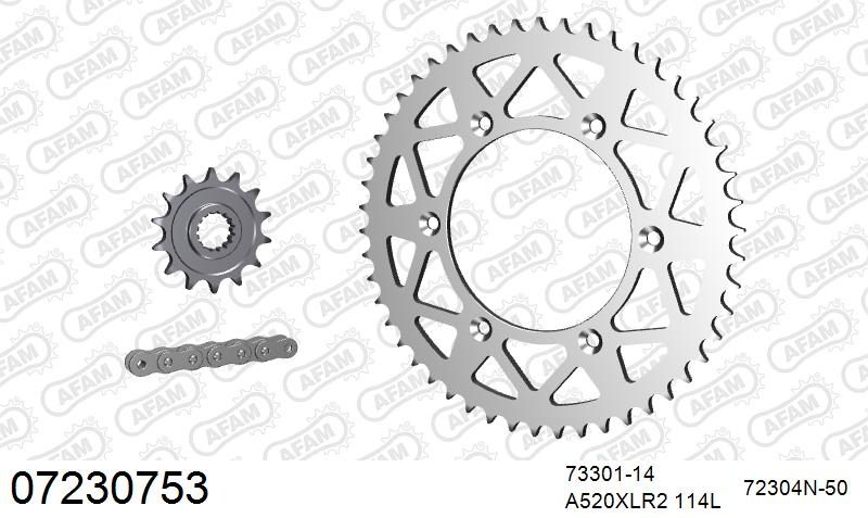 520XRR3 114 ARS (CLIP) GOLD & SPROCKETS