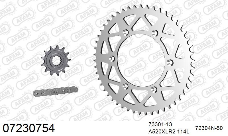 520XRR3 114 ARS (CLIP) GOLD & SPROCKETS
