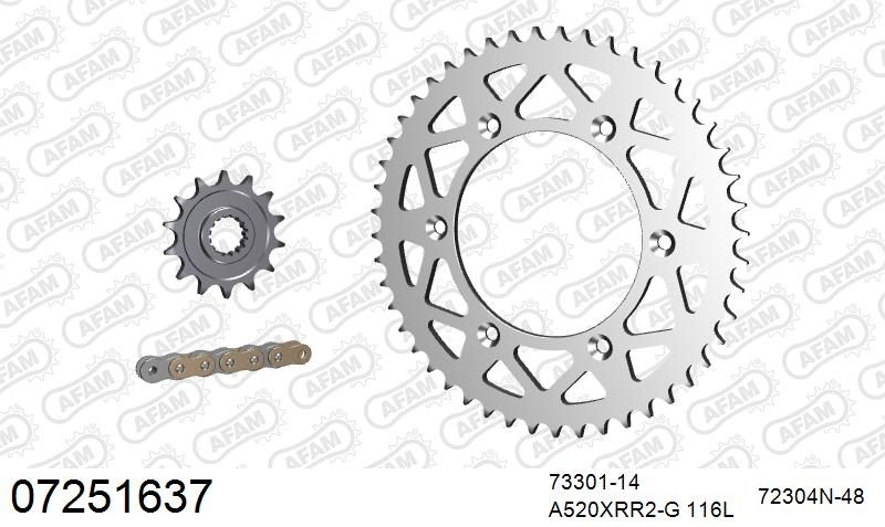 520XRR3 116 ARS (CLIP) GOLD & SPROCKETS