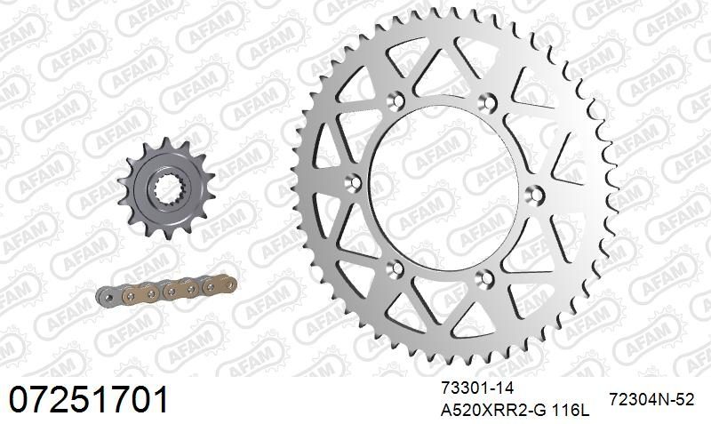 520XRR3 116 ARS (CLIP) GOLD & SPROCKETS