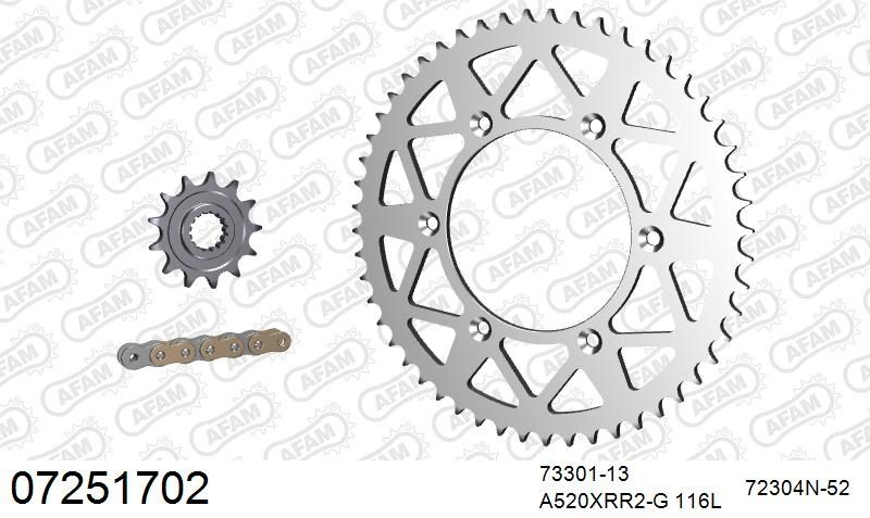 520XRR3 116 ARS (CLIP) GOLD & SPROCKETS