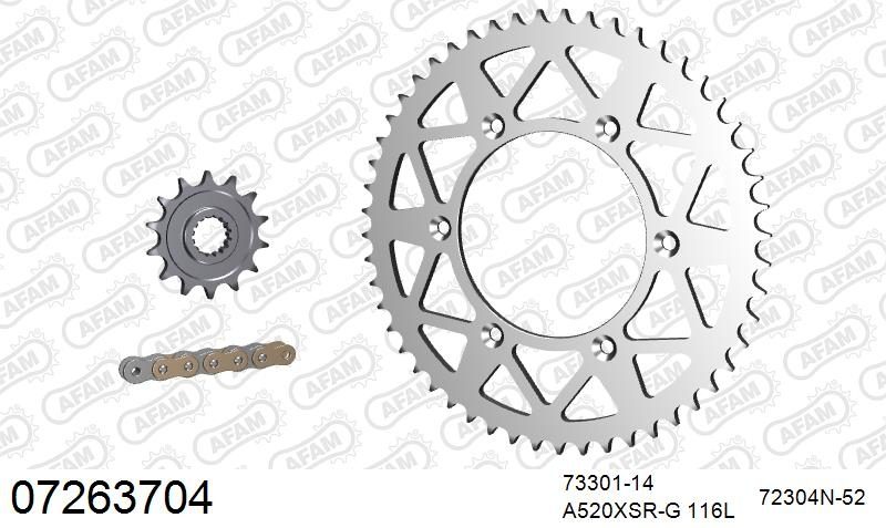 520XRR3 116 ARS (CLIP) GOLD & SPROCKETS