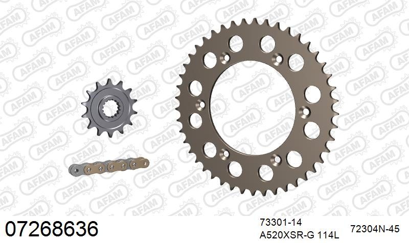 520XRR3 114 ARS (CLIP) GOLD & SPROCKETS