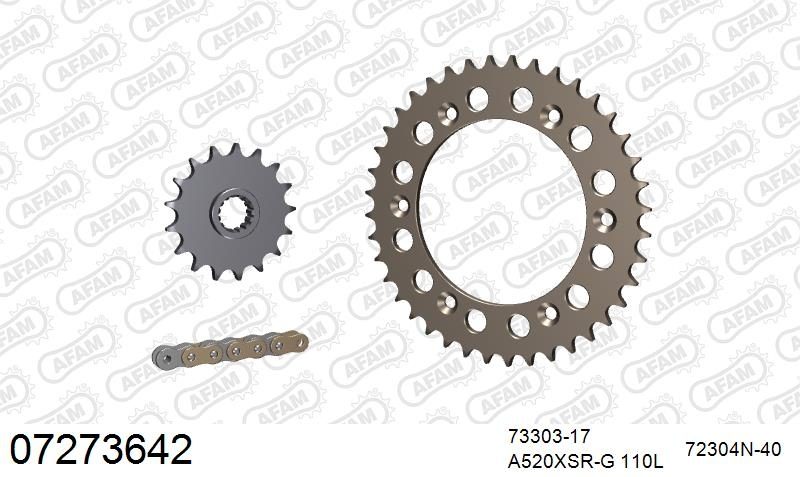 520XSR 110 MRS (RIVET) GOLD & SPROCKETS