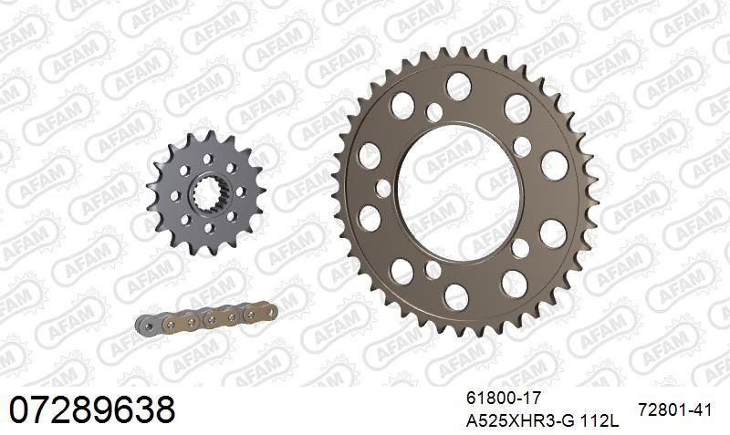 525XHR3 112 MRS (RIVET) GOLD & SPROCKETS