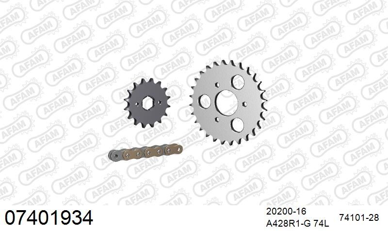 428R1 74 AR (CLIP) GOLD & SPROCKETS