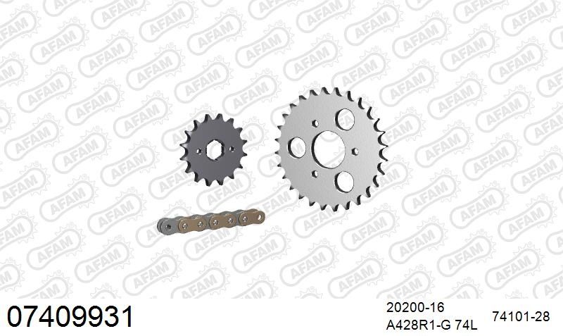 428R1 74 AR (CLIP) GOLD & SPROCKETS