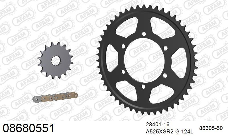525XSR2 124 MRS (RIVET) GOLD & SPROCKETS